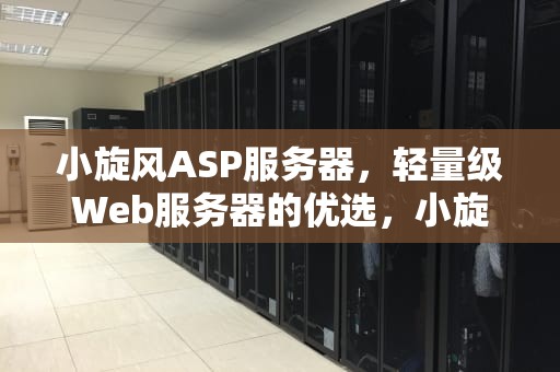 小旋风ASP服务器，轻量级Web服务器的优选，小旋风软件