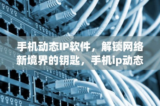手机动态IP软件，解锁网络新境界的钥匙，手机ip动态 设置 破解版 app