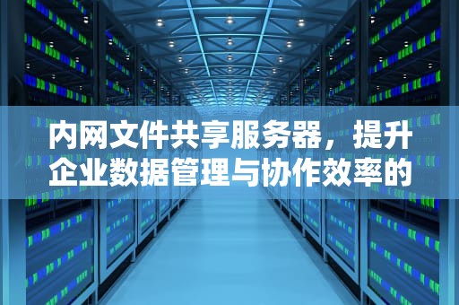 内网文件共享服务器，提升企业数据管理与协作效率的利器，内网文件共享服务器怎么设置