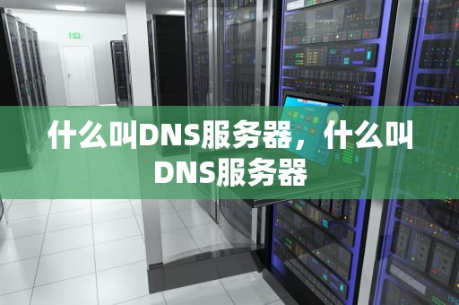 什么叫DNS服务器，什么叫DNS服务器