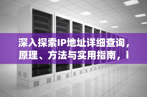 深入探索IP地址详细查询，原理、方法与实用指南，ip地址详细查询工具