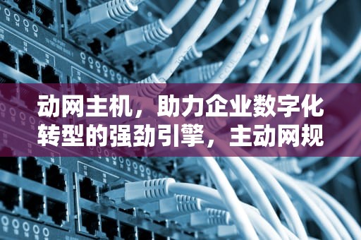 动网主机，助力企业数字化转型的强劲引擎，主动网规格