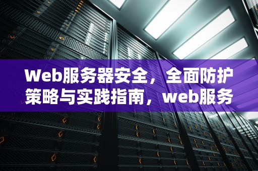 Web服务器安全，全面防护策略与实践指南，web服务器安全设置实验