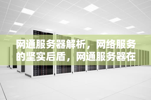 网通服务器解析，网络服务的坚实后盾，网通服务器在哪