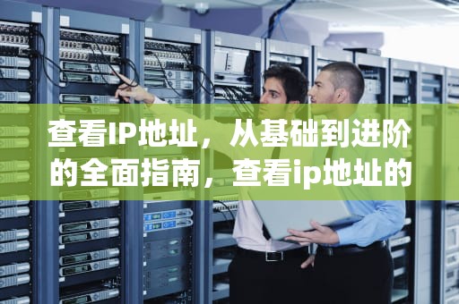 查看IP地址，从基础到进阶的全面指南，查看ip地址的cmd命令
