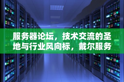 服务器论坛，技术交流的圣地与行业风向标，戴尔服务器论坛