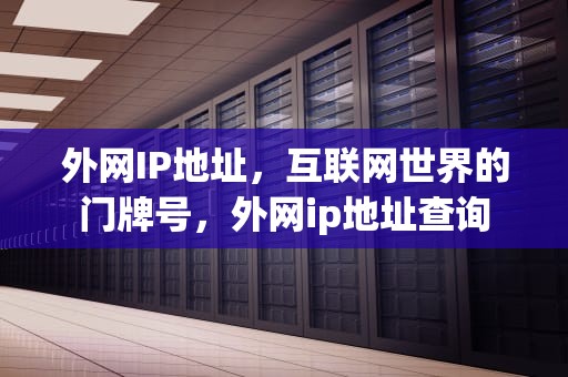 外网IP地址，互联网世界的门牌号，外网ip地址查询