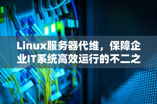 Linux服务器代维，保障企业IT系统高效运行的不二之选，linux服务器代理