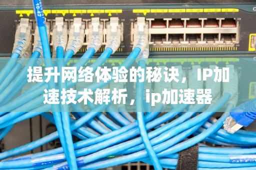 提升网络体验的秘诀，IP加速技术解析，ip加速器