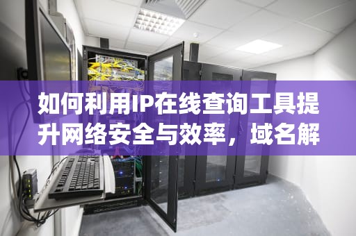 如何利用IP在线查询工具提升网络安全与效率，域名解析ip在线查询