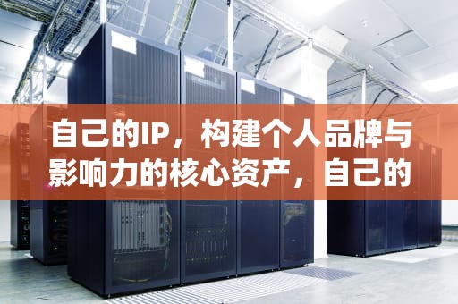 自己的IP，构建个人品牌与影响力的核心资产，自己的ip地址查询