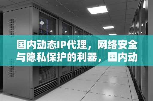 国内动态IP代理，网络安全与隐私保护的利器，国内动态IP代理