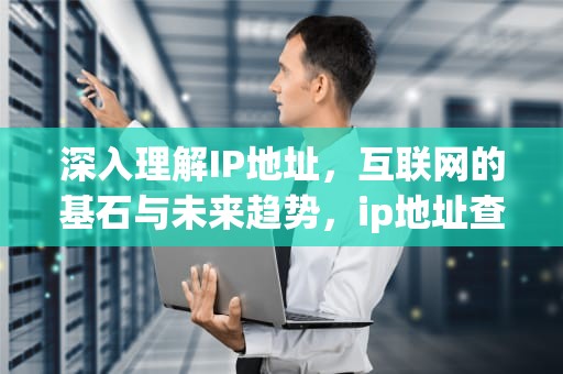 深入理解IP地址，互联网的基石与未来趋势，ip地址查询