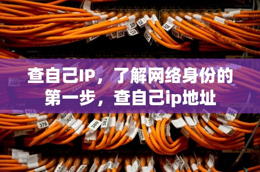 查自己IP，了解网络身份的第一步，查自己ip地址
