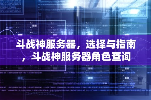 斗战神服务器，选择与指南，斗战神服务器角色查询