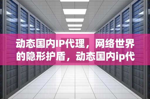 动态国内IP代理，网络世界的隐形护盾，动态国内ip代理ip