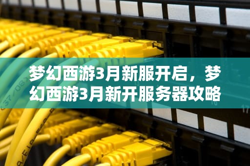 梦幻西游3月新服开启，梦幻西游3月新开服务器攻略