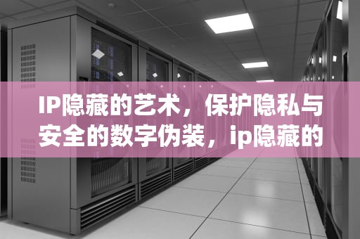 IP隐藏的艺术，保护隐私与安全的数字伪装，ip隐藏的app在哪里
