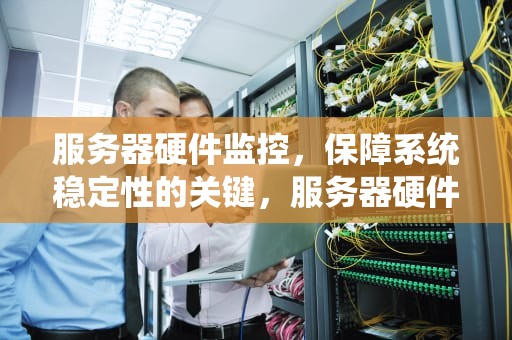 服务器硬件监控，保障系统稳定性的关键，服务器硬件监控软件