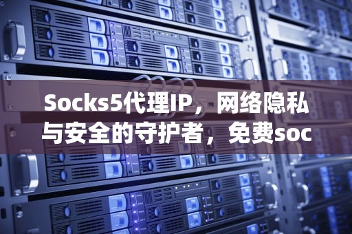 Socks5代理IP，网络隐私与安全的守护者，免费socks5代理ip