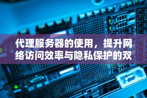 代理服务器的使用，提升网络访问效率与隐私保护的双重优势，代理服务器的使用场景