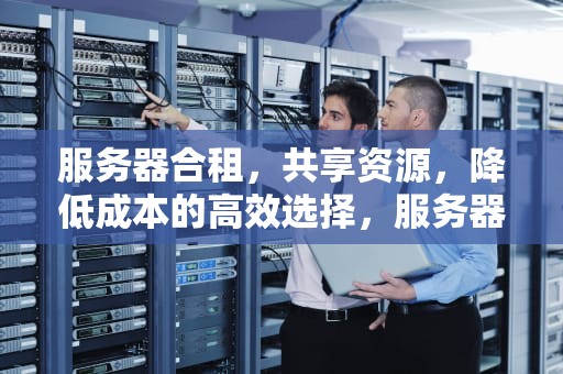 服务器合租，共享资源，降低成本的高效选择，服务器合租面板