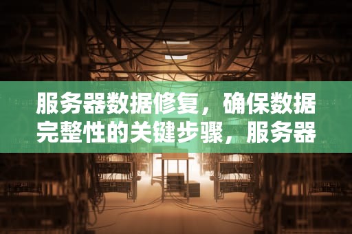 服务器数据修复，确保数据完整性的关键步骤，服务器数据恢复价格