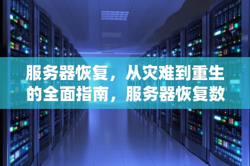 服务器恢复，从灾难到重生的全面指南，服务器恢复数据进不了系统