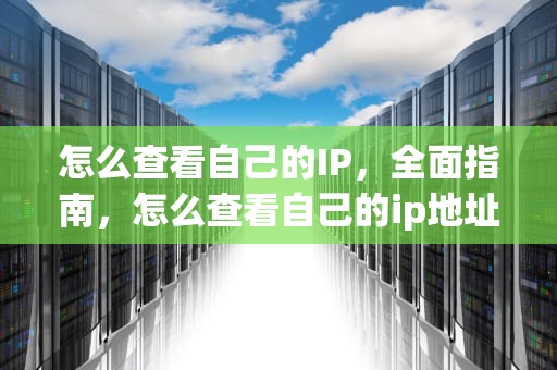 怎么查看自己的IP，全面指南，怎么查看自己的ip地址