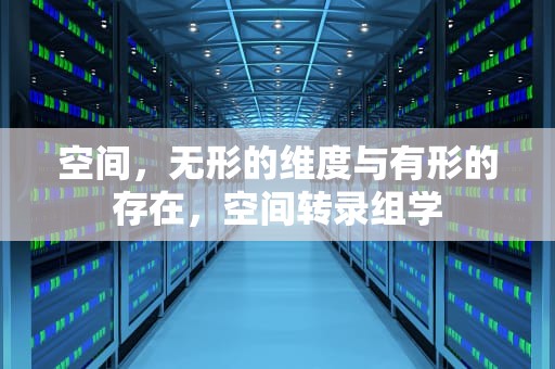 空间，无形的维度与有形的存在，空间转录组学