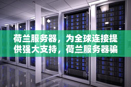 荷兰服务器，为全球连接提供强大支持，荷兰服务器骗局