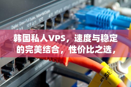 韩国私人VPS，速度与稳定的完美结合，性价比之选，韩国私人vps泡芙