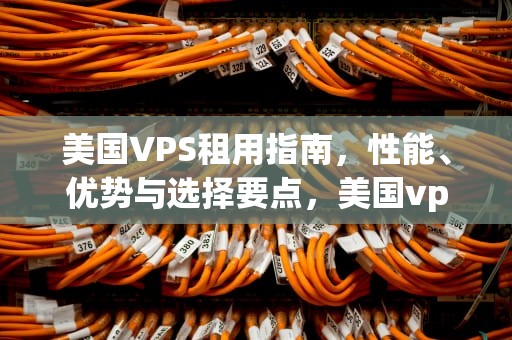美国VPS租用指南，性能、优势与选择要点，美国vps租赁