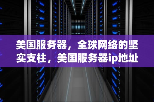 美国服务器，全球网络的坚实支柱，美国服务器ip地址