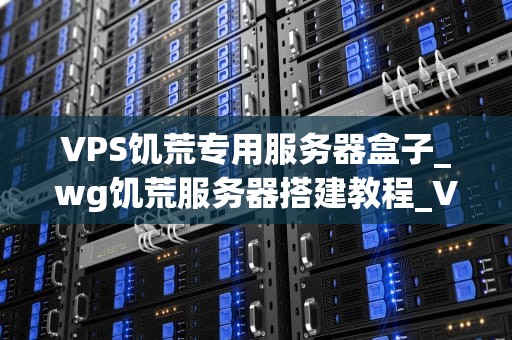 VPS饥荒专用服务器盒子_wg饥荒服务器搭建教程_VPS饥荒专用服务器盒子——为玩家提供稳定、流畅的游戏体验
