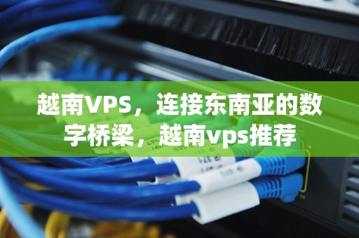 越南VPS，连接东南亚的数字桥梁，越南vps推荐