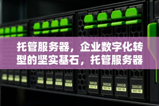 托管服务器，企业数字化转型的坚实基石，托管服务器是什么意思