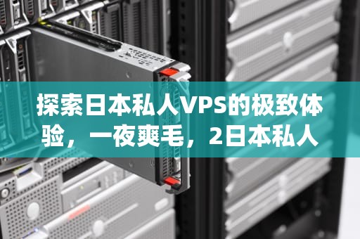 探索日本私人VPS的极致体验，一夜爽毛，2日本私人vps萝卜