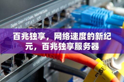 百兆独享，网络速度的新纪元，百兆独享服务器