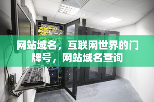 网站域名，互联网世界的门牌号，网站域名查询