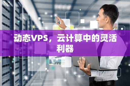 动态VPS，云计算中的灵活利器