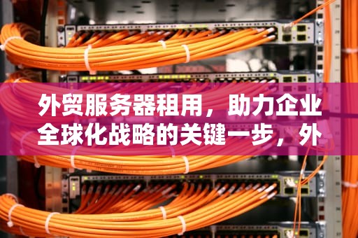 外贸服务器租用，助力企业全球化战略的关键一步，外贸服务器租用多少钱一年啊