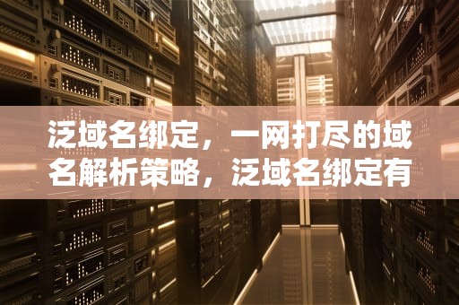 泛域名绑定，一网打尽的域名解析策略，泛域名绑定有什么好看的