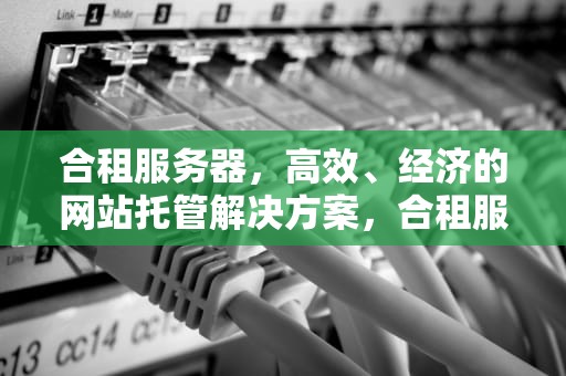 合租服务器，高效、经济的网站托管解决方案，合租服务器两人都能看到记录吗
