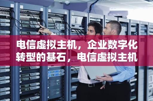 电信虚拟主机，企业数字化转型的基石，电信虚拟主机有哪些