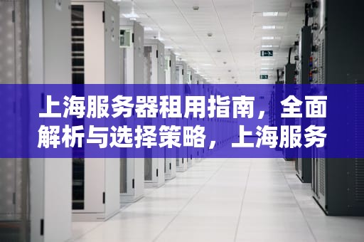 上海服务器租用指南，全面解析与选择策略，上海服务器租用 三线