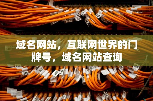 域名网站，互联网世界的门牌号，域名网站查询