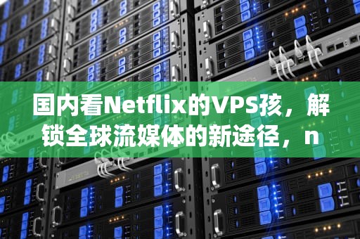 国内看Netflix的VPS孩，解锁全球流媒体的新途径，netflix vp