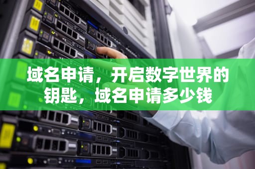 域名申请，开启数字世界的钥匙，域名申请多少钱