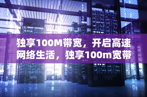 独享100M带宽，开启高速网络生活，独享100m宽带